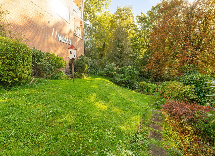 Property image 42