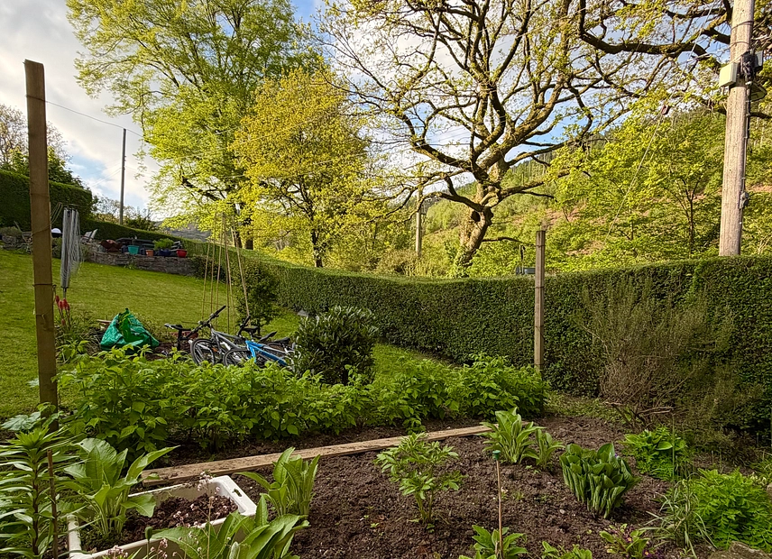 Property image 50